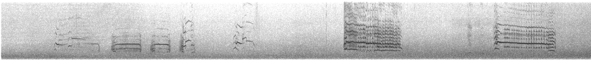 Lesser Black-backed Gull - ML125137301