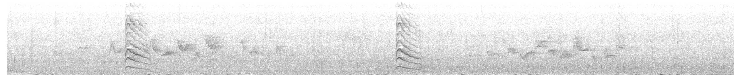 Дятел-смоктун білочеревий - ML125140221