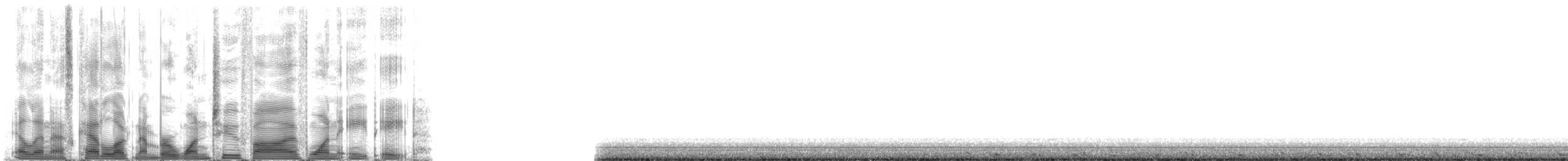 Short-finned Pilot Whale - ML125188