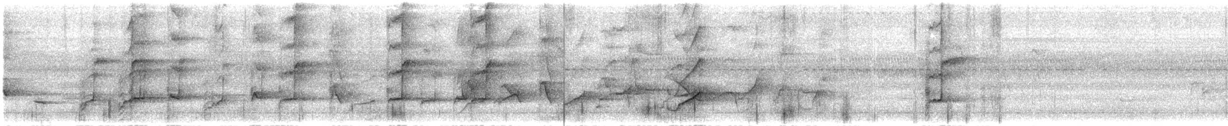 Lorito Momoto de Buru - ML125195751