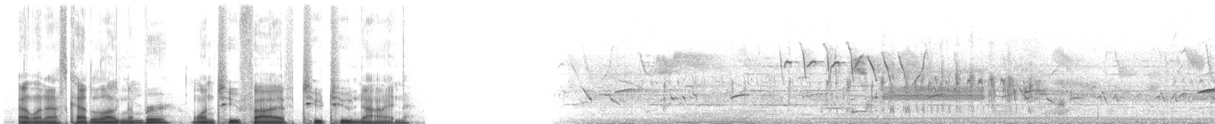 Fischadler (carolinensis) - ML125229