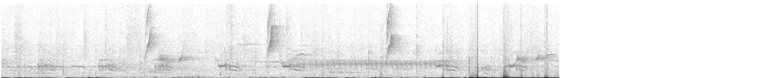 Белобородый колибри-отшельник - ML125267401