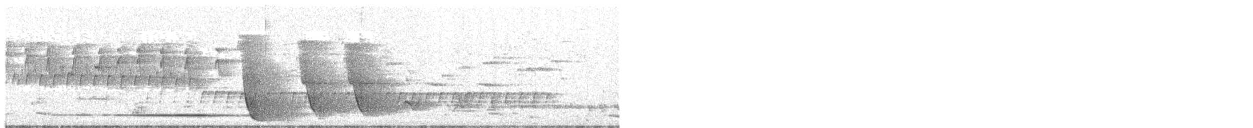 White-winged Triller - ML125319991