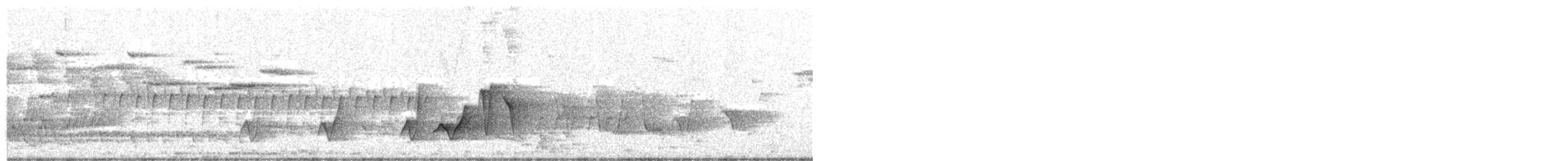 White-winged Triller - ML125320011
