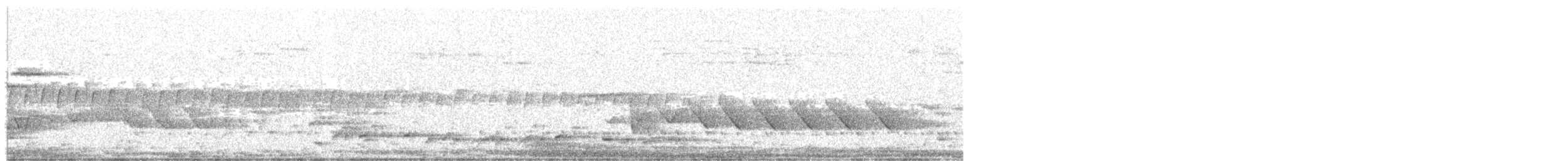 White-winged Triller - ML125320041
