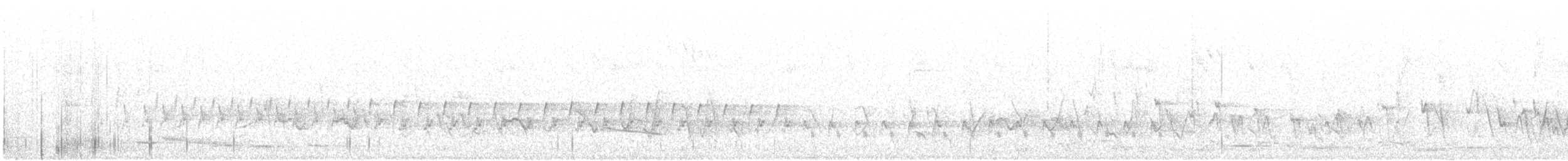 Белокрылый личинкоед-свистун - ML125360381