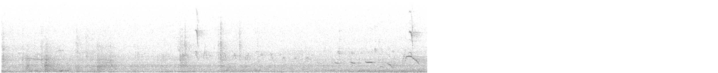 hvitnakkehonningeter - ML125360521