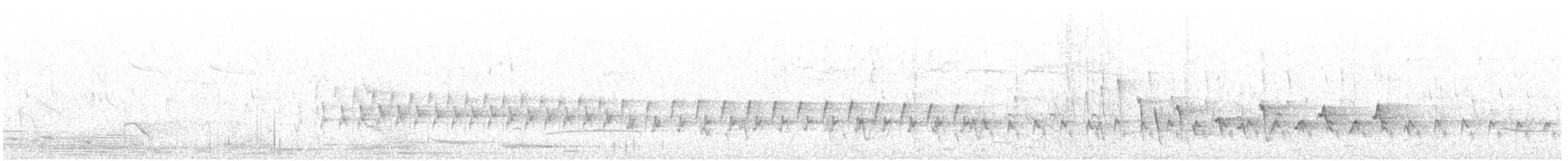 Белокрылый личинкоед-свистун - ML125361681