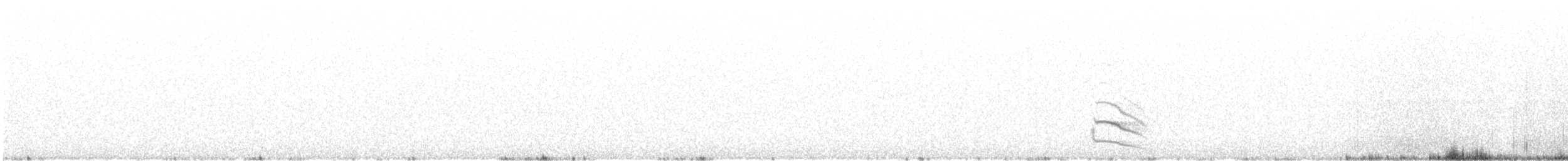 Австралийский совиный козодой - ML125363301