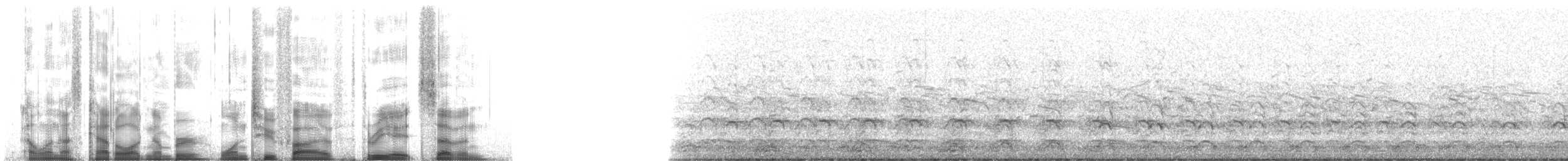 Western Gull - ML125387
