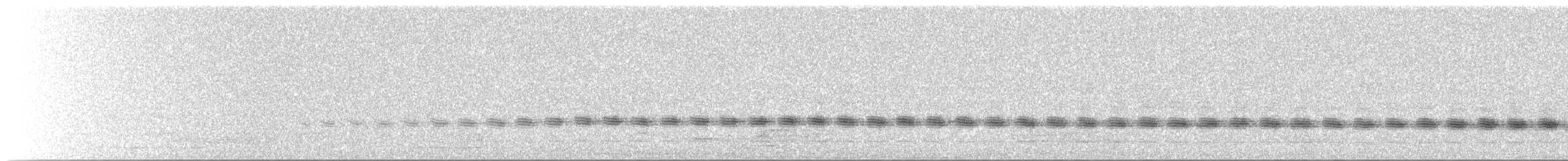 Sahul Cicadabird - ML125451641