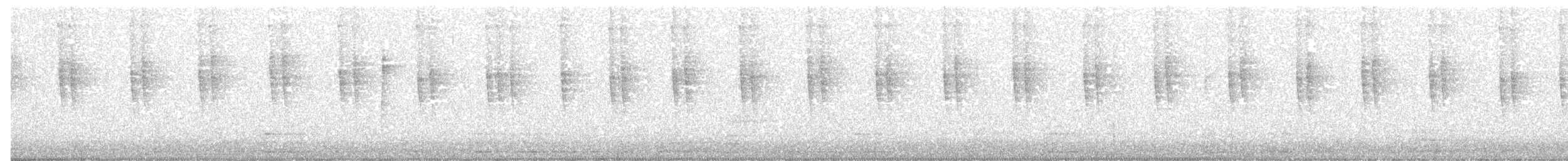 Colibri à oreilles blanches - ML125515321