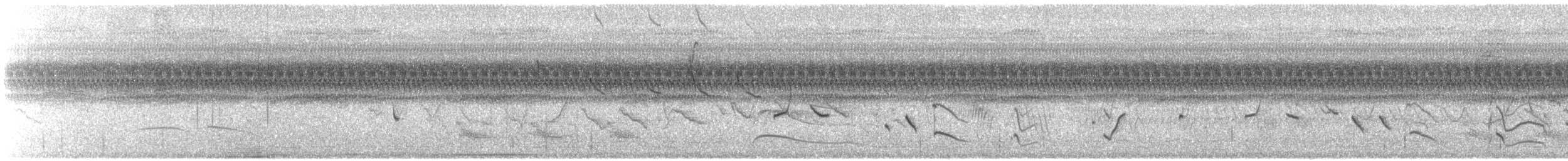 Black-billed Seed-Finch - ML125524031