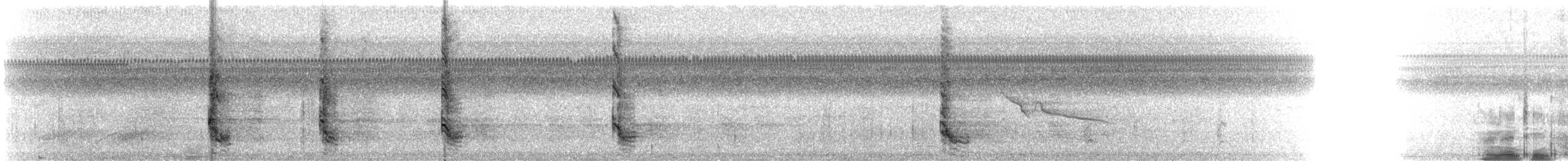 אנפית מנגרובים - ML125525151