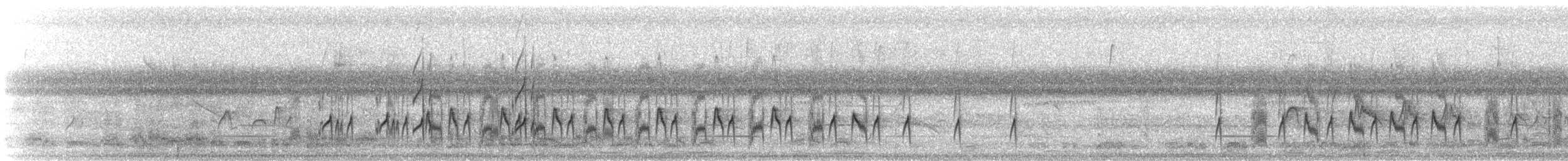 Rußkappen-Kleintyrann - ML125525361