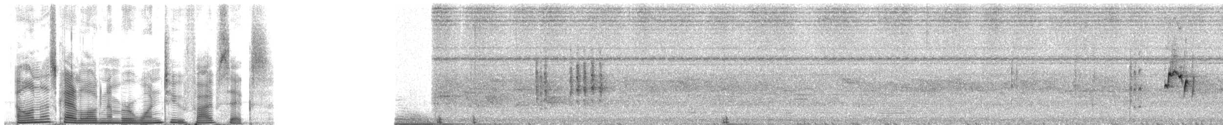 Crombec Cejiblanco - ML1256