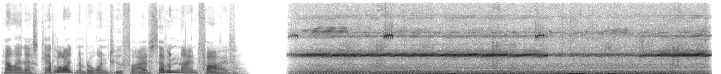 Columbian trig - ML125795