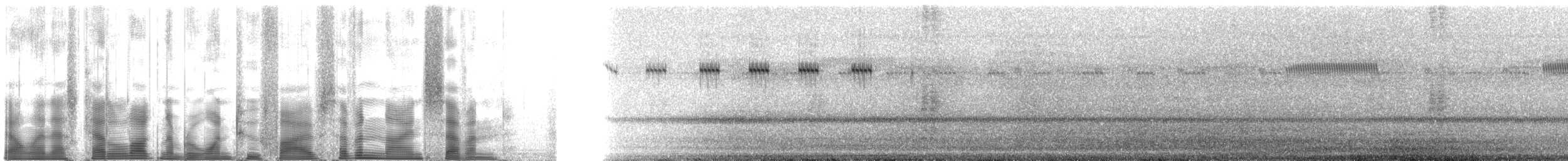 Columbian trig - ML125797