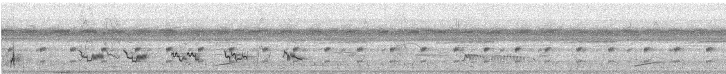 Schwarzschnabeldrossel - ML125837421