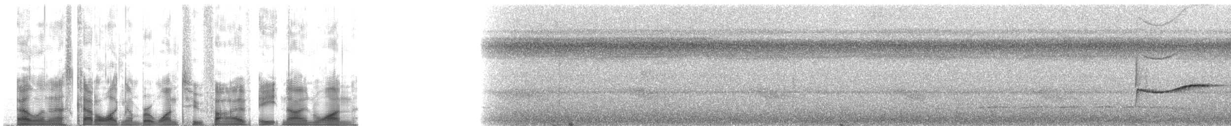 モリタイランチョウ属 - ML125891