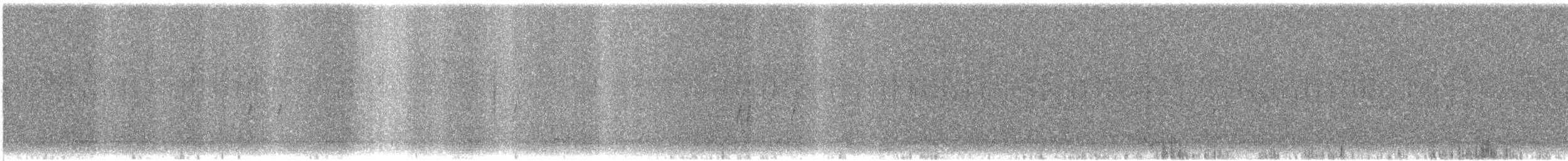 "Шишкар ялиновий (Northeastern, або тип 12)" - ML125891221