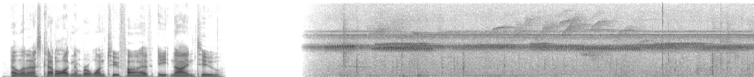 ミナミナキミソサザイ（marginatus グループ） - ML125892