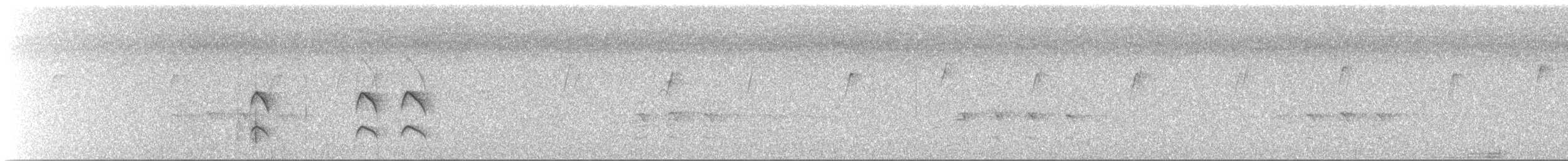 hvitstrupehonningeter - ML125892671
