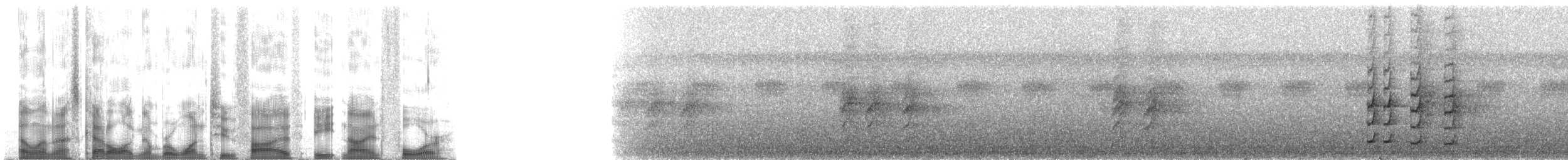 クリイロタイランチョウ - ML125894