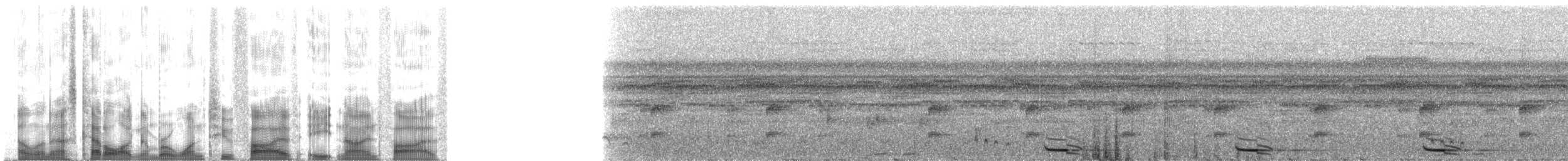 Amazonian Antpitta - ML125895