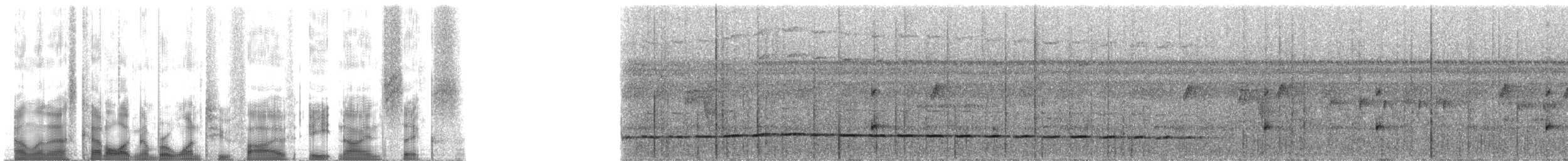 アカビタイアリツグミ - ML125896