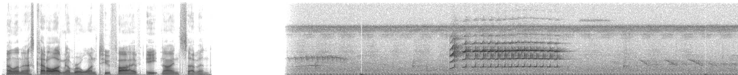 Rufous Twistwing - ML125897