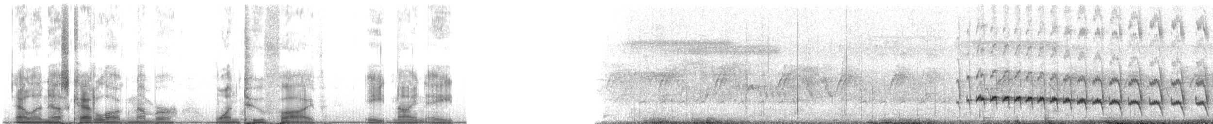 Straight-billed Woodcreeper - ML125898