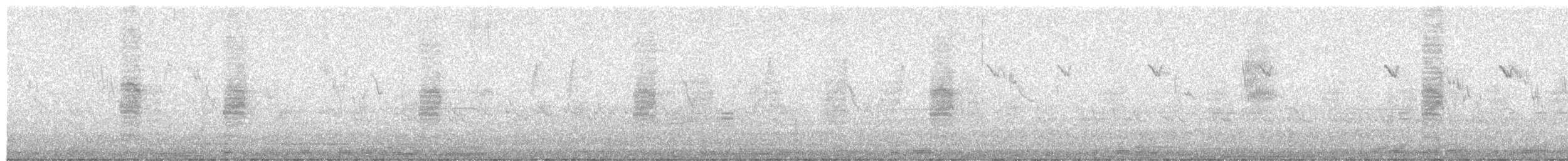 Bay-backed Shrike - ML125921841