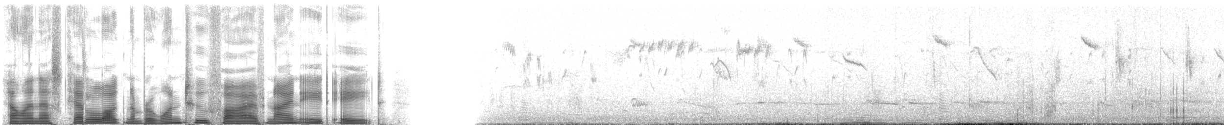 purpurhodealvesmett (assimilis/bernieri) - ML125988
