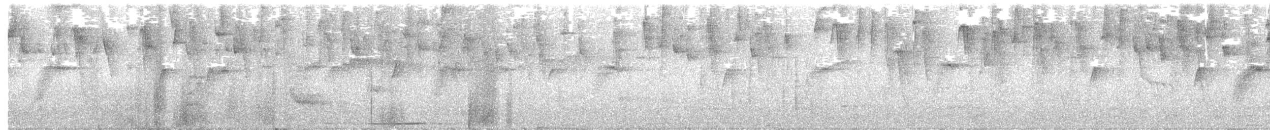 Trinidad Motmot - ML125995531