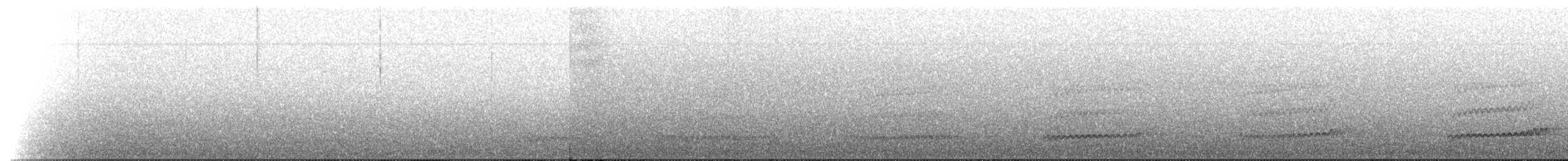 オオマダラキーウィ - ML126021661