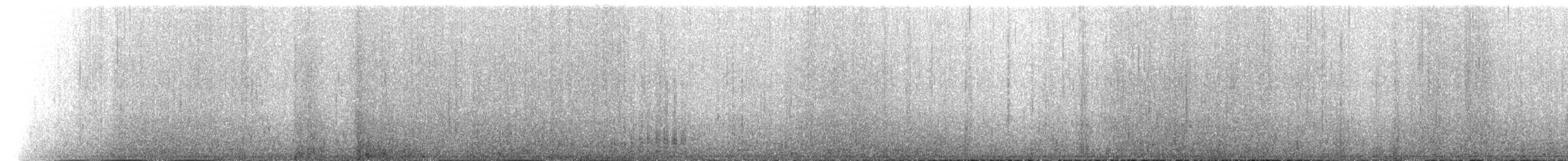 Antipodean Albatross - ML126021741