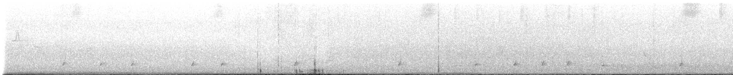 Spotless Crake - ML126022271