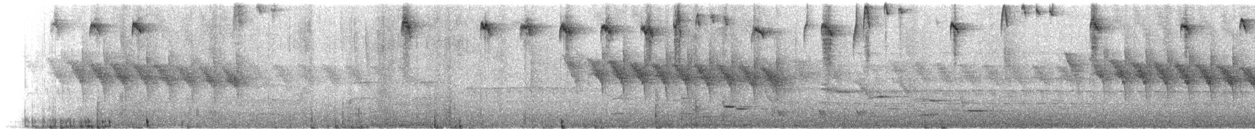 Acantisita Verdoso - ML126022411