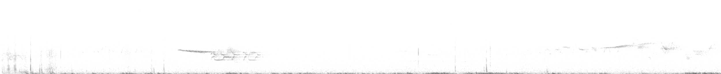 Дрізд-короткодзьоб плямистоволий - ML126091531