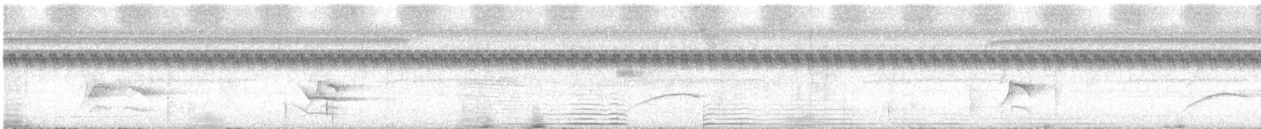 Пестрохвостая пипра - ML126203501