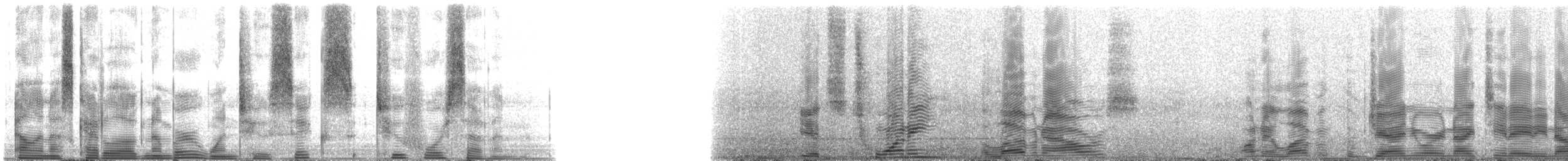 Oyster Drum - ML126247