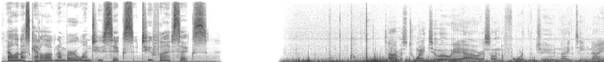 Speckled Trout - ML126256