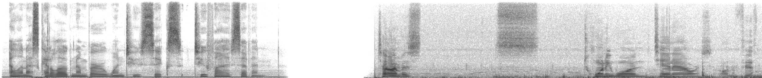 Speckled Trout - ML126257