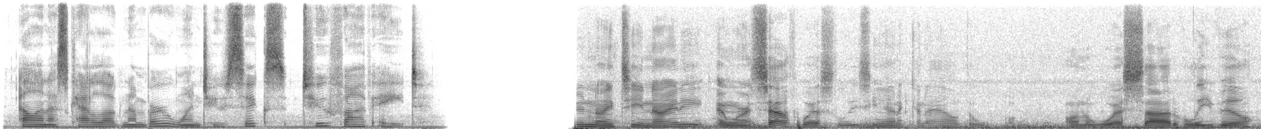 Speckled Trout - ML126258