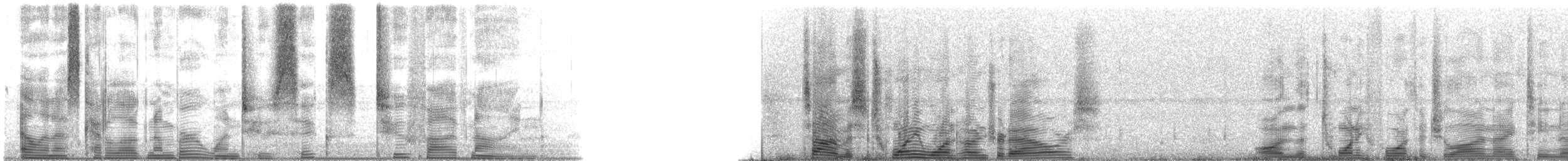 Speckled Trout - ML126259