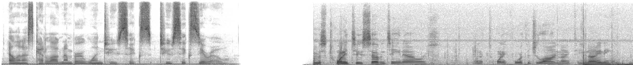 Speckled Trout - ML126260