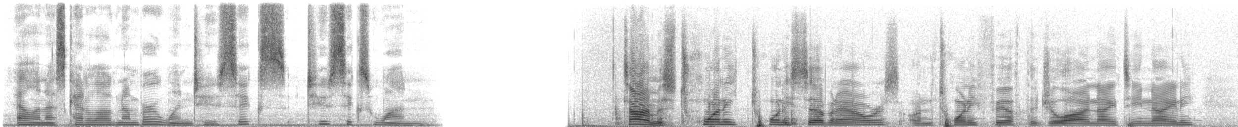 Speckled Trout - ML126261