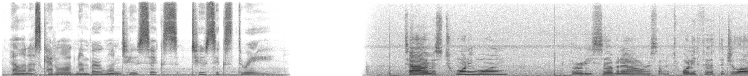 Speckled Trout - ML126263