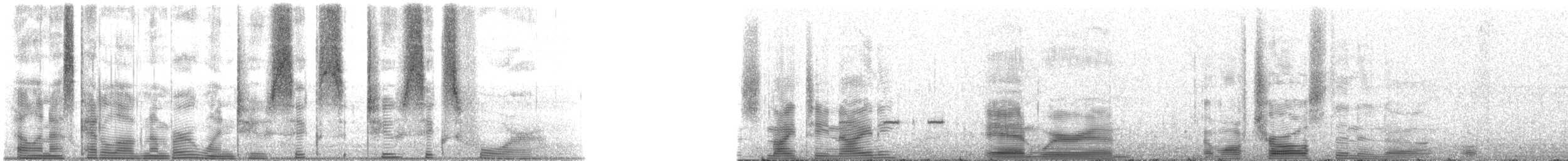 Speckled Trout - ML126264